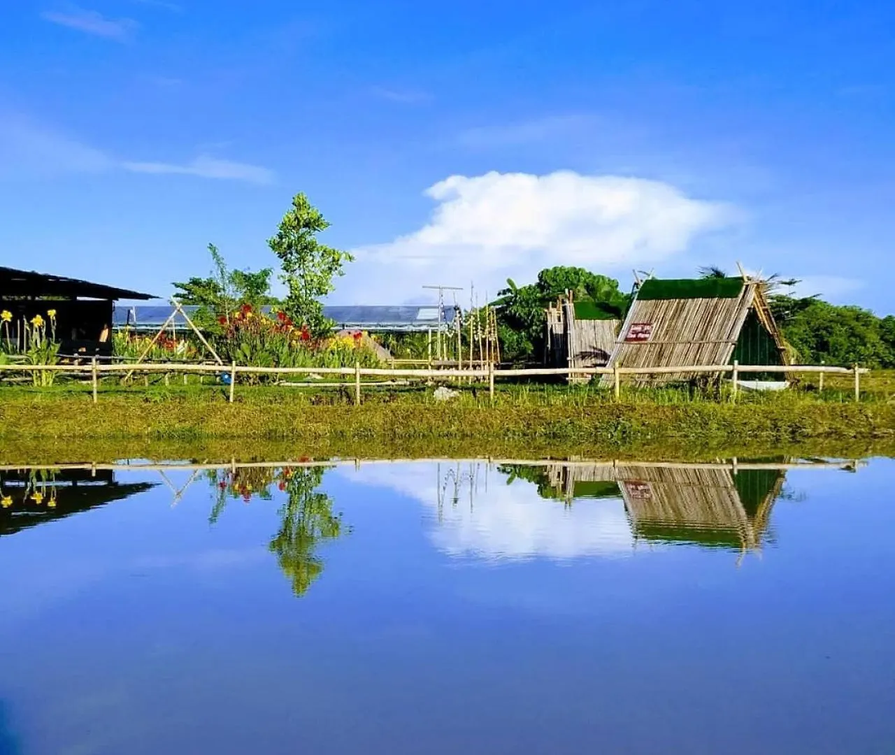 Quadruple Traditional Wooden Guesthouse Balik Pulau